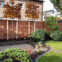 Welters Gartenbau Gartengestaltung Galabau Mönchengladbach