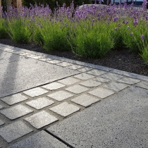 Welters Gartenbau Gartengestaltung Galabau Mönchengladbach
